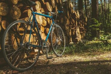 Radtouren im Eichsfeld mit dem Mountainbike