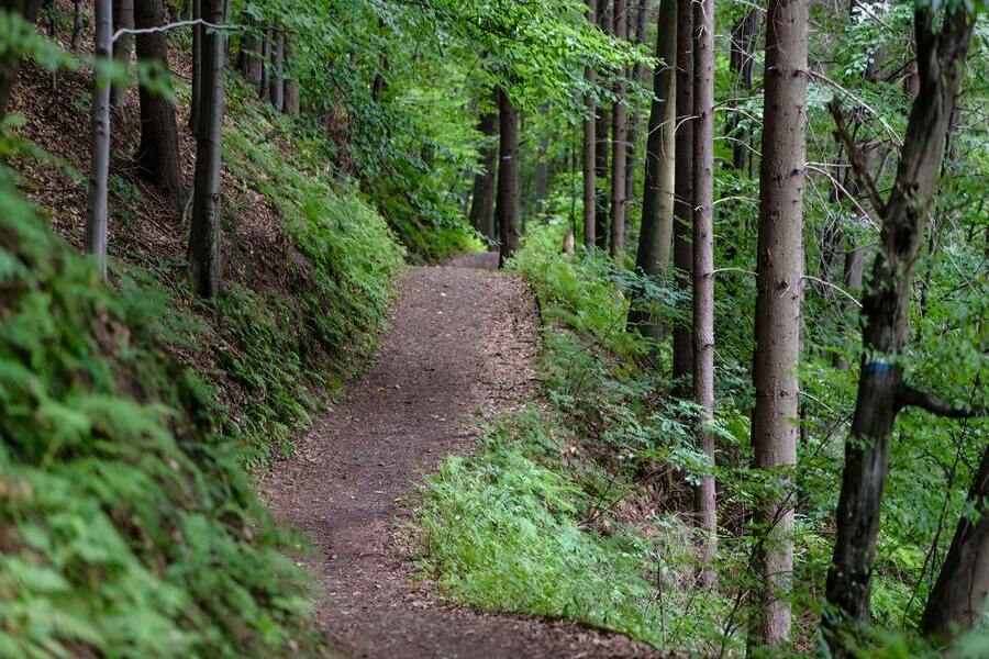 Wandern im Eichsfeld: Ein Naturparadies - Wanderweg